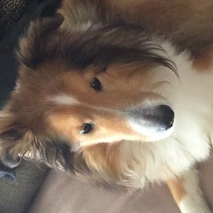 Meet your Posher, Mike